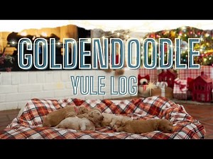 A Cozy Christmas Yule Log