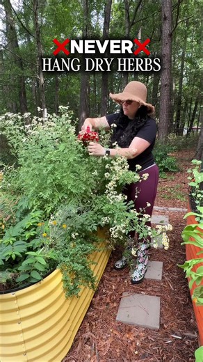 How to Dry Herbs Without Bringing Bugs or Dirt Indoors