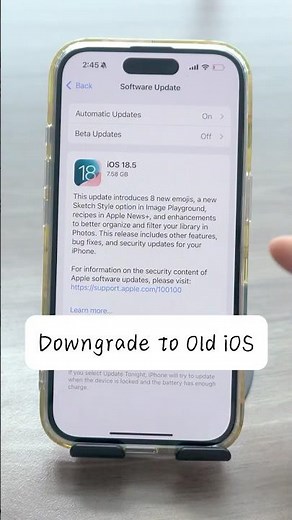 ✅How to Downgrade to Old / Unsigned iOS Version? Tips Here!#fyp #ios19