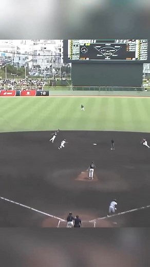 What an amazing play! Via WBSC | Baseball Heaven
