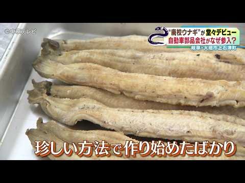["Abandoned School Eels" Make Their Grand Debut: Why Did an Auto Parts Company Get Involved? Kami...