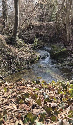 Swiss Mountain Stream – Waterfall Flow & Birds in 4K