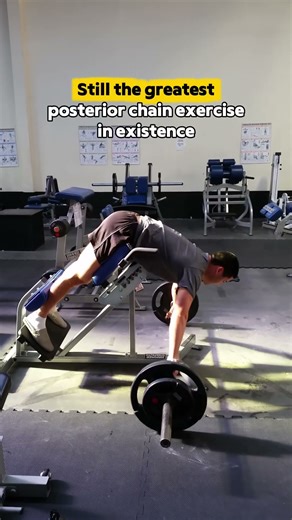 Still the greatest posterior chain exercise in existence