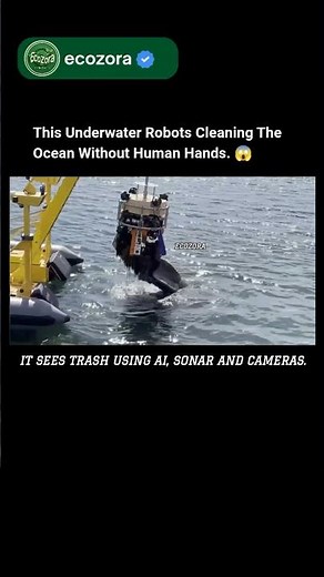 Ocean Robots That Hunt Trash Autonomously 🌊 #AI #Robotics #Ocean #Future