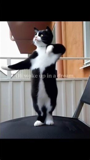 🌊 Oli Returns to the Sea of Dreams (Part. 2 )🐬 | The AI Journey of Hope & Light ⚡ (K‑Lullaby Series)