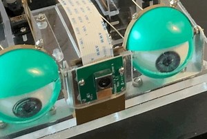 Controlling a Pair of Robotic Eyes