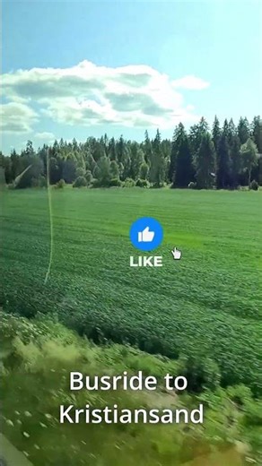 POV: Norway’s bus rides are BEAUTIFUL 😍🇳🇴