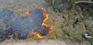 Before the colonists came, we burned small and burned often to avoid big fires. It’s time to relearn cultural burning