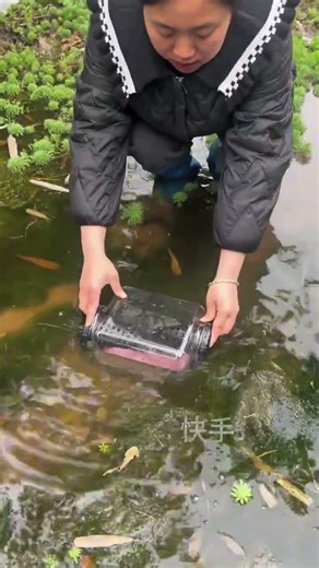 unbelievable fish catching tricks with chinese Bait #fishing #fishingvideo #fishinggear #carpfishing