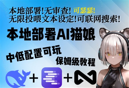 [保姆级]无审查DS微调模型!知识库!联网搜索!本地部署AI猫娘！[deepseek LM stdio Anything LLM]