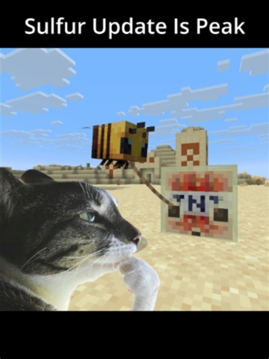 Minecraft Sulfur Update Ideas — Sulfur Cube & TNT Creations