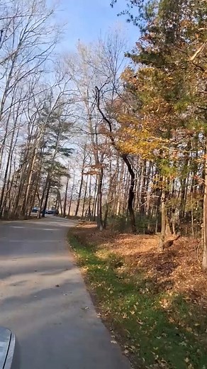 3.5K views · 110 reactions | View coming into the Stables #cadescovetennessee #cadescove #townsendtn #nationalparks | Cades Cove Riding Stables (The National Park's stables in Cades Cove) | Facebook