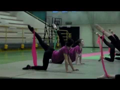Stage di ginnastica ritmica con Fabrizia D'Ottavio - 2014 (13)