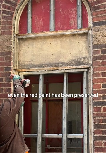 holy moly, anyone know anyone who can help preserve these?