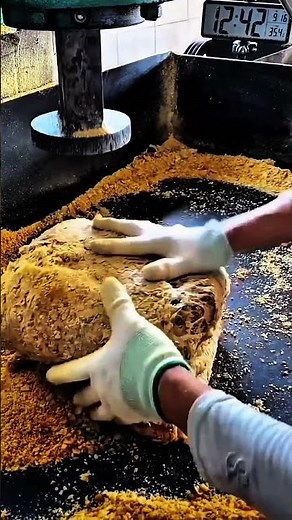 How Machines Knead Dough Faster Than Hands