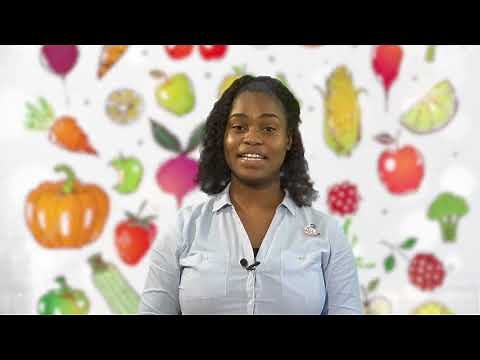 Integrated Studies How the Body Works Grade 2