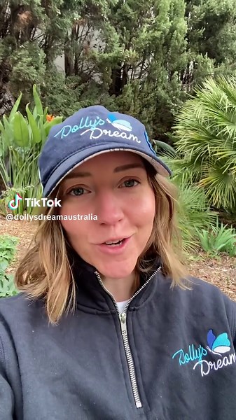 Deni Ute Muster: Join Us for a Chat and Merch!