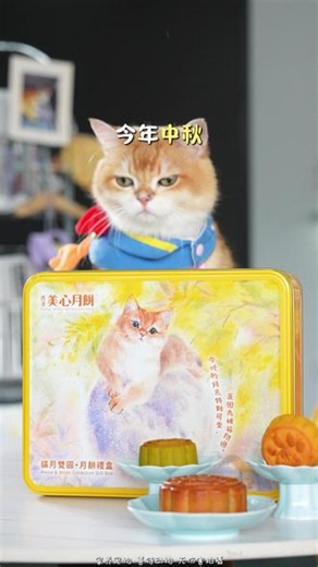 猫月双圆，专为有毛孩子的你设计 中秋就要猫月双圆，快把这份萌趣带回家吧~#零食推荐 #喵星人 #月饼 #萌宠#美心月饼