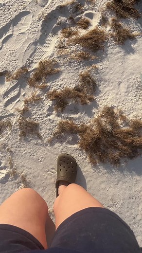 Megan Mccarthy (@elizabethmccarthy87)’s videos with original sound - Megan Mccarthy