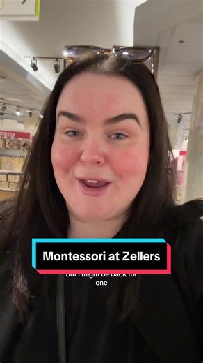 Affordable Climbing Frame at Zellers - ANKO Brand Review