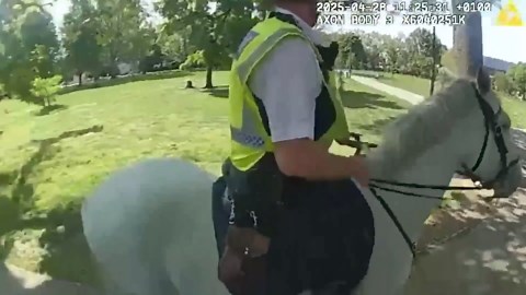 Moment dog attacks police horses on patrol in London park