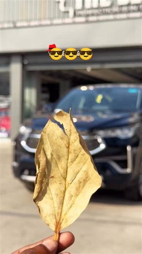 Toyota Hycross Ceramic Coating - The ultimate protection #toyota #hycross #ceramiccoating #ytshorts