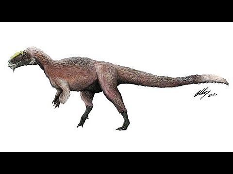 Feathered T-Rex-like Dinosaur Discovered is Largest Ever Found
