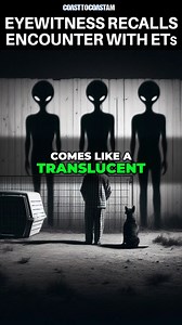 At 3 a.m., a mysterious voice compelled me to rise. In a trance, I encountered three shadowy beings who handed me something unknown. Blown back by a sudden wind, I saw a glowing woman who revealed, "Humanity has lost its way." Explore this extraordinary encounter and its profound message. #UFO #extraterrestrial #alien | Coast to Coast AM