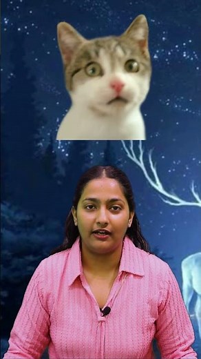 Felinophobia | A-Z Phobia | Types of phobia | Fear of cats | #phobia #goalon