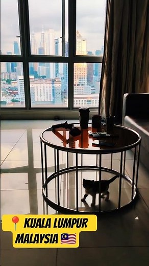 🐱 Meet Mimi! ❤️🏙️ Petronas Towers 📍Kuala Lumpur, Malaysia 🇲🇾 #Couchsurfing #CuteCat
