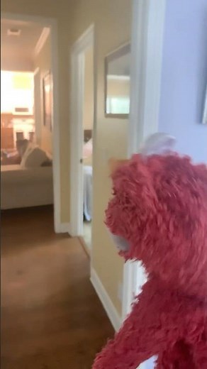 elmo world books thing