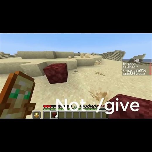 Very Cool Minecraft Hack!!
