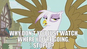 Why don't you just watch where you're going, stupid?