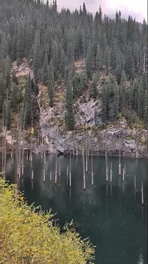 Discovering Kaindy Lake, Kazakhstan, Intrepid Travel from Hasan S.