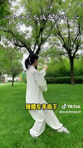 tai chi 24 styles teaching (1) #taichi #taichinh #hot #chinesekongfu #girlpower #foryou
