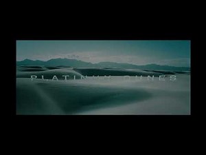 Combo Logos: Universal/Relativity/Rogue/Platinum Dunes (2009)