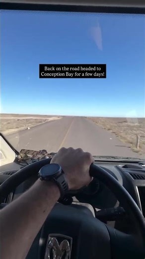 This is what driving in Baja is like 🚐 #roadtrips