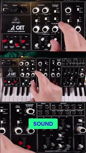 Behringer Cat Sync Mode #shorts