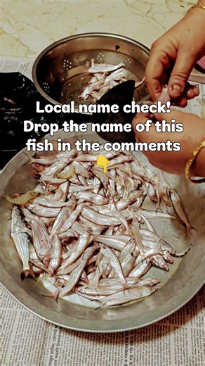 What Do You Call This Fish?