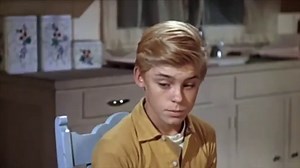 Flipper Movie (1963)