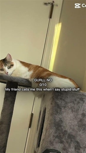 I deleted the other one idk why and most my videos but HERE IT IS AGAIN