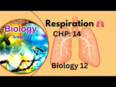 Respiration/gaseous exchange| chp 14 | biology class 12 | FBISE