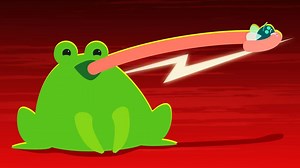 152K views · 115 reactions | Here's why frogs’ tongues are secretly badass. | Insider Science | Facebook