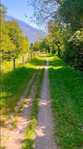 Pedaling Into Nature — Silence & Green on the Way to Bellinzona#travel #nature #beautiful #peace