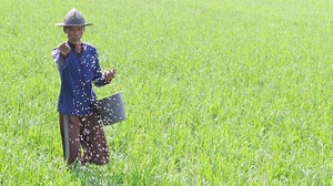 Inovasi Teknologi Jadi Kunci Pengembangan Pertanian Indonesia