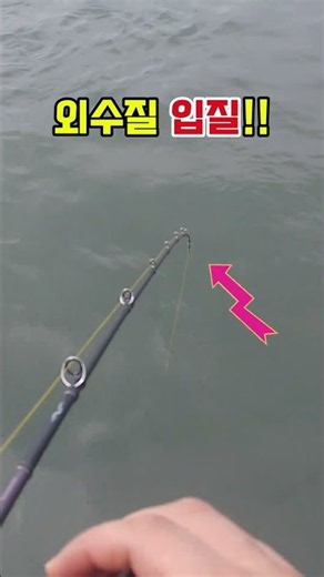 What about the bites on the outer mullet? #fishing #fishing #sea낚시 #sea낚시터 #everydayfishing