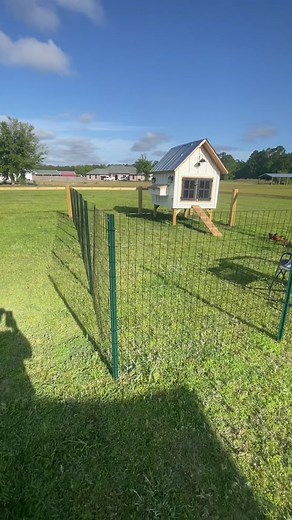 This is temporary until we determine what will be best for our chickens and our yard. Right now, its keeping the chickens in and the dogs out 🙃 #diyfence #chickenfence #chickenrun #chickencoop #backyardchickens