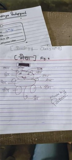 😅😅😅😅😅😅😅😅