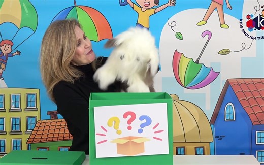 英语课堂小游戏  The Flashcard Mystery Box