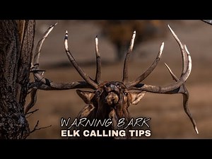 WARNING BARK | Elk Calling Tips